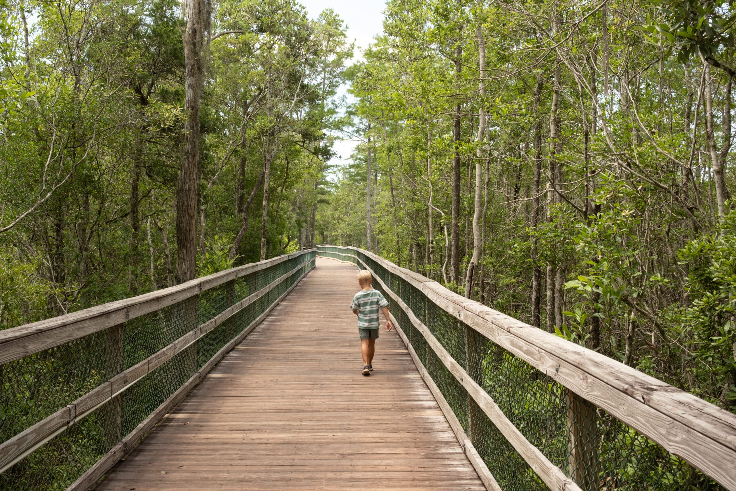 Walking Turkey reek Nature Trail in Niceville, Florida 